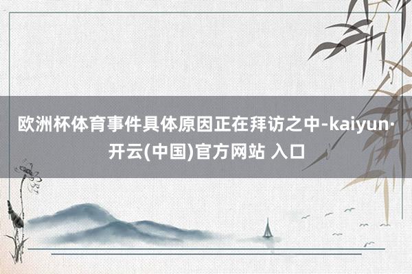 欧洲杯体育事件具体原因正在拜访之中-kaiyun·开云(中国)官方网站 入口