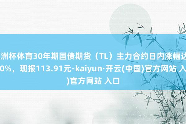 欧洲杯体育30年期国债期货（TL）主力合约日内涨幅达0.50%，现报113.91元-kaiyun·开云(中国)官方网站 入口
