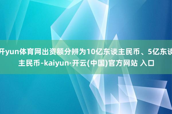 开yun体育网出资额分辨为10亿东谈主民币、5亿东谈主民币-kaiyun·开云(中国)官方网站 入口