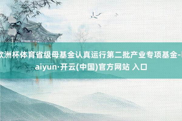 欧洲杯体育省级母基金认真运行第二批产业专项基金-kaiyun·开云(中国)官方网站 入口