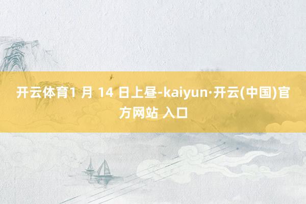 开云体育1 月 14 日上昼-kaiyun·开云(中国)官方网站 入口