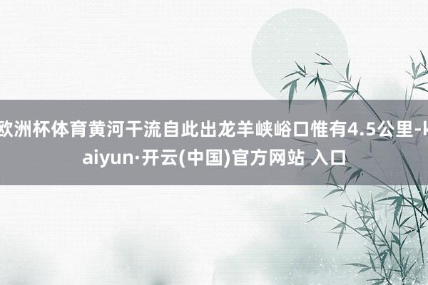 欧洲杯体育黄河干流自此出龙羊峡峪口惟有4.5公里-kaiyun·开云(中国)官方网站 入口
