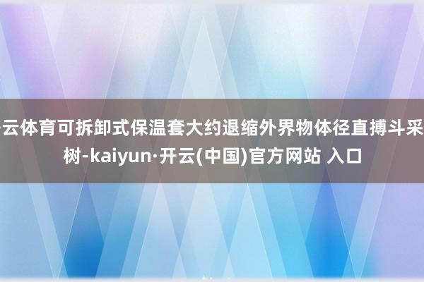 开云体育可拆卸式保温套大约退缩外界物体径直搏斗采油树-kaiyun·开云(中国)官方网站 入口