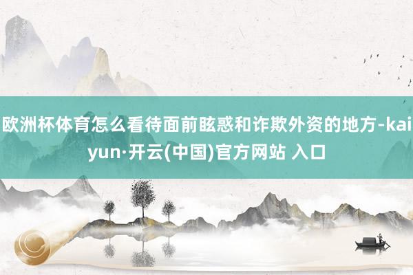 欧洲杯体育怎么看待面前眩惑和诈欺外资的地方-kaiyun·开云(中国)官方网站 入口