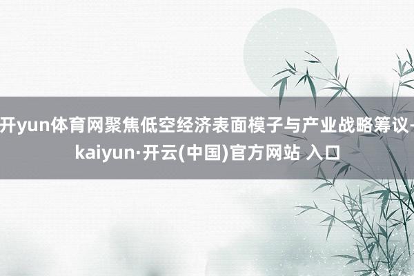 开yun体育网聚焦低空经济表面模子与产业战略筹议-kaiyun·开云(中国)官方网站 入口
