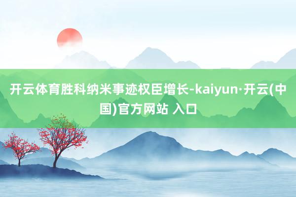 开云体育胜科纳米事迹权臣增长-kaiyun·开云(中国)官方网站 入口
