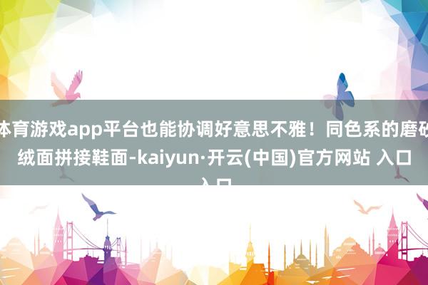 体育游戏app平台也能协调好意思不雅！同色系的磨砂绒面拼接鞋面-kaiyun·开云(中国)官方网站 入口