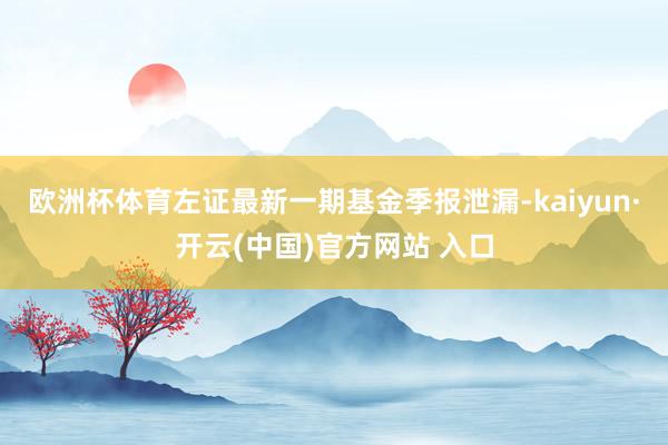欧洲杯体育左证最新一期基金季报泄漏-kaiyun·开云(中国)官方网站 入口
