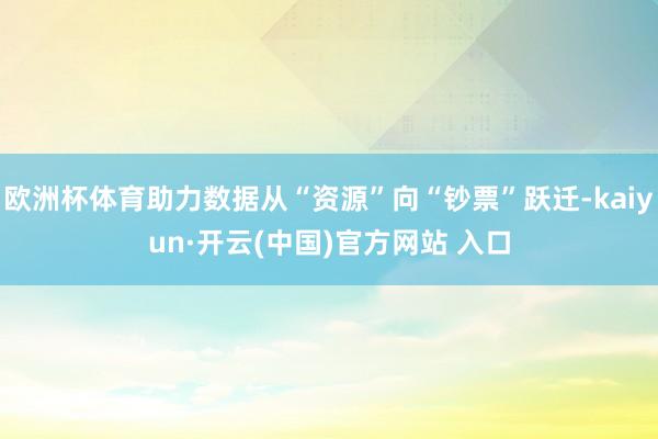 欧洲杯体育助力数据从“资源”向“钞票”跃迁-kaiyun·开云(中国)官方网站 入口