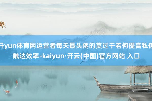 开yun体育网运营者每天最头疼的莫过于若何提高私信触达效率-kaiyun·开云(中国)官方网站 入口