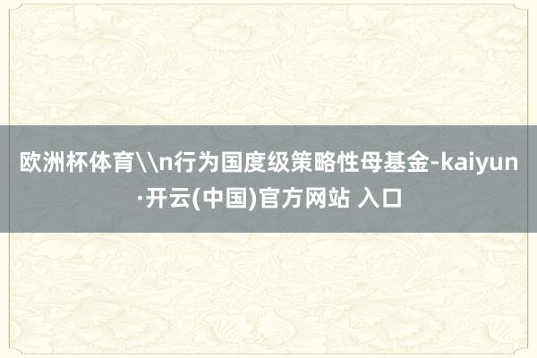 欧洲杯体育\n行为国度级策略性母基金-kaiyun·开云(中国)官方网站 入口