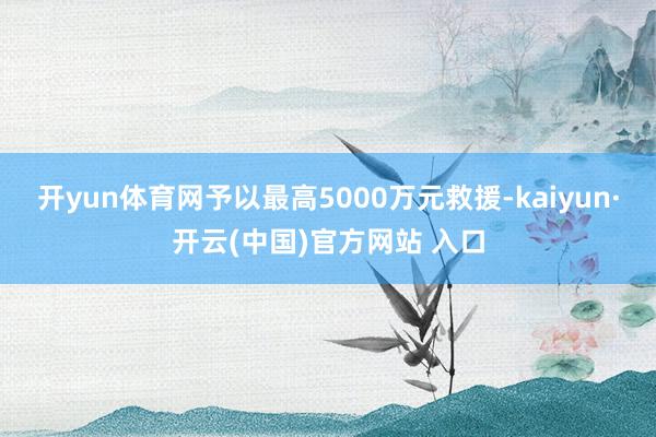 开yun体育网予以最高5000万元救援-kaiyun·开云(中国)官方网站 入口